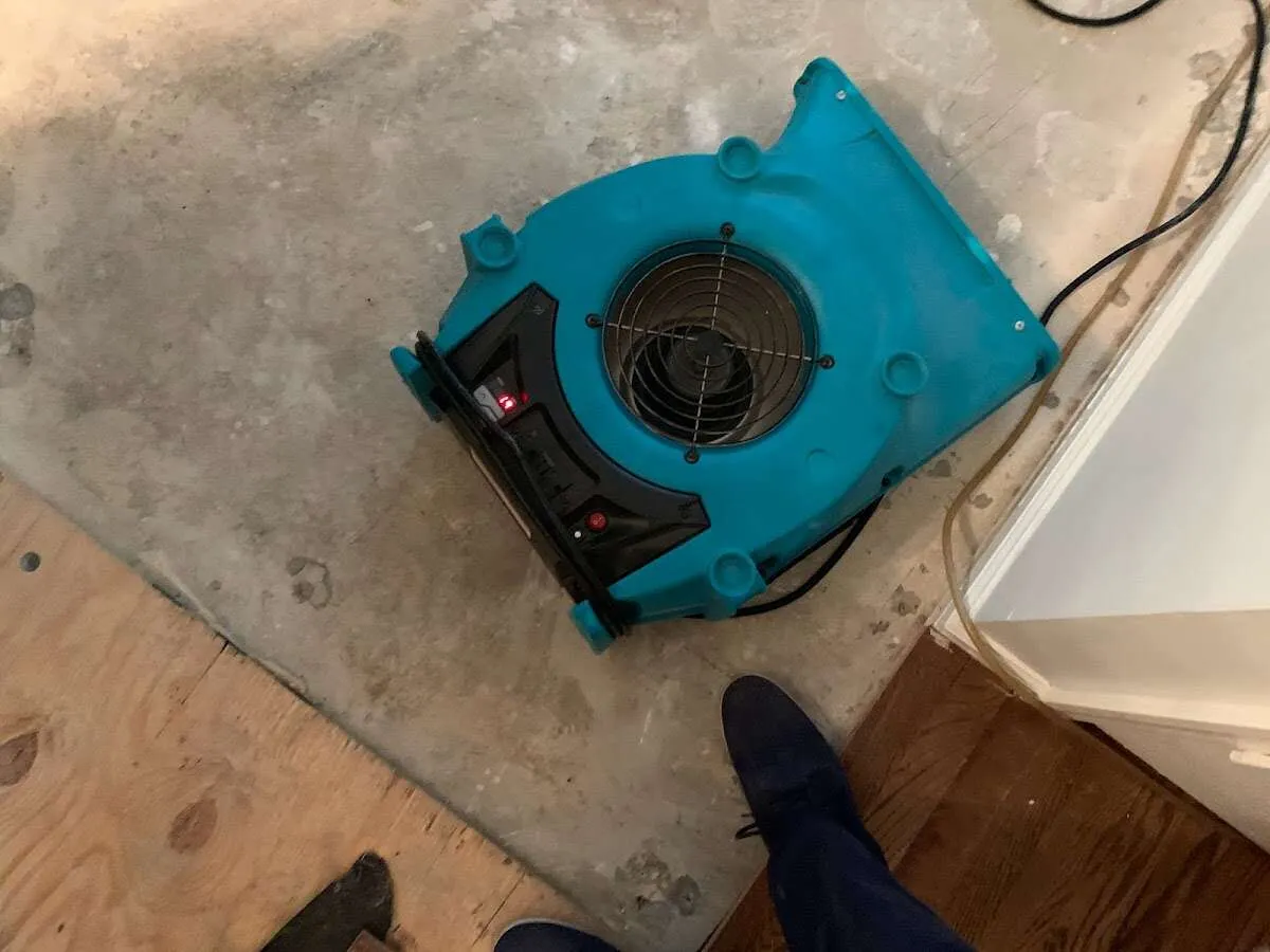 Air mover drying subfloor during Commercial Water Damage Restoration in Vashon